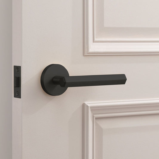 Brass Hexagonal Lever Door Handle in Black