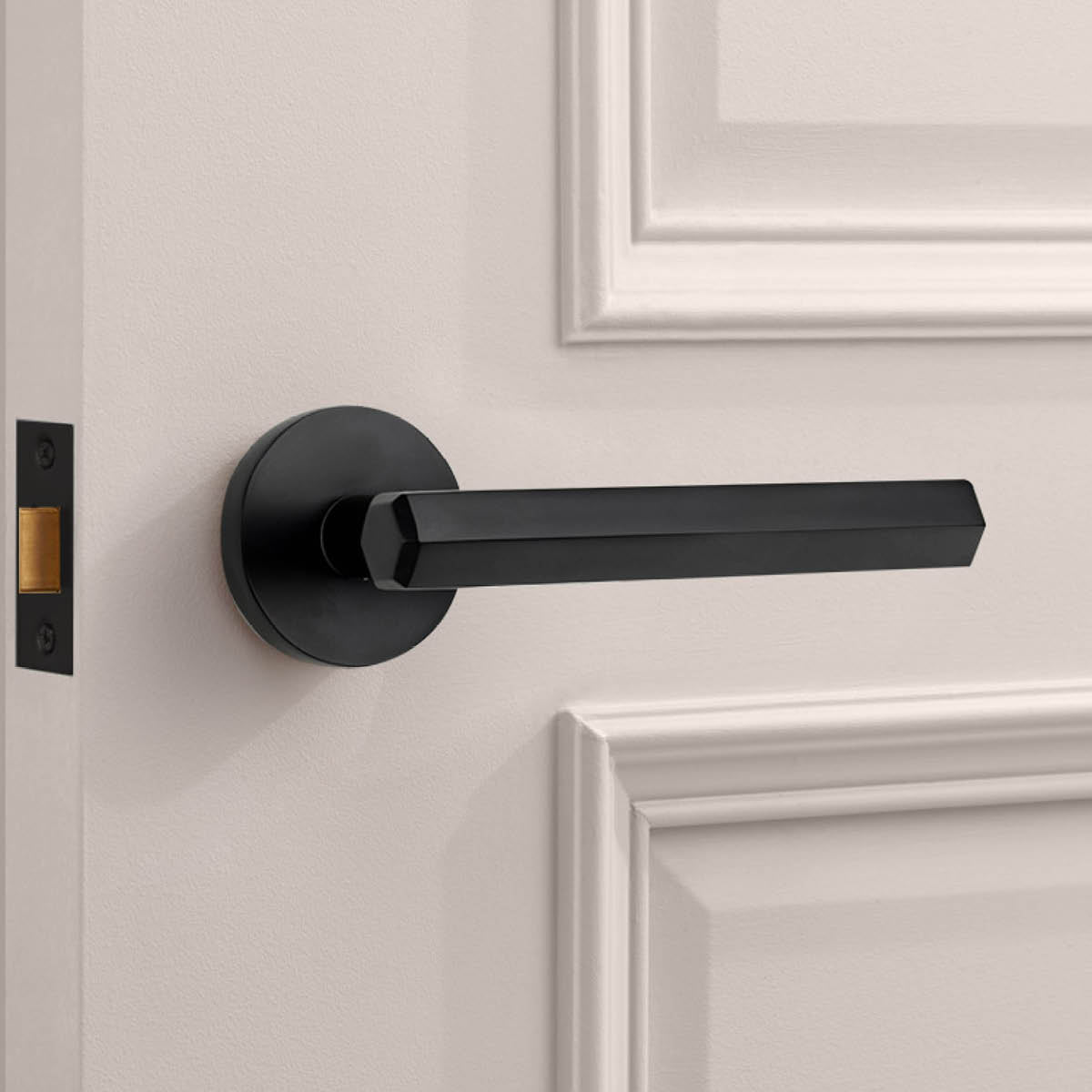 Brass Hexagonal Lever Door Handle in Black