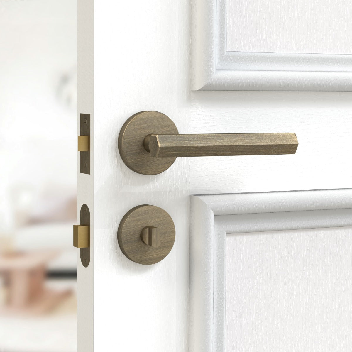 Brass Thumbturn Door Lock Set in Antique