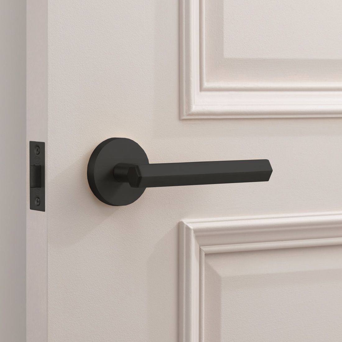 Brass Hexagonal Lever Door Handle in Black
