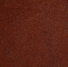Leather Sample Swatch - Brown