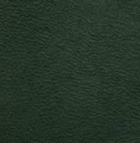 Green Leather
