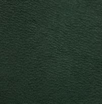 Green Leather