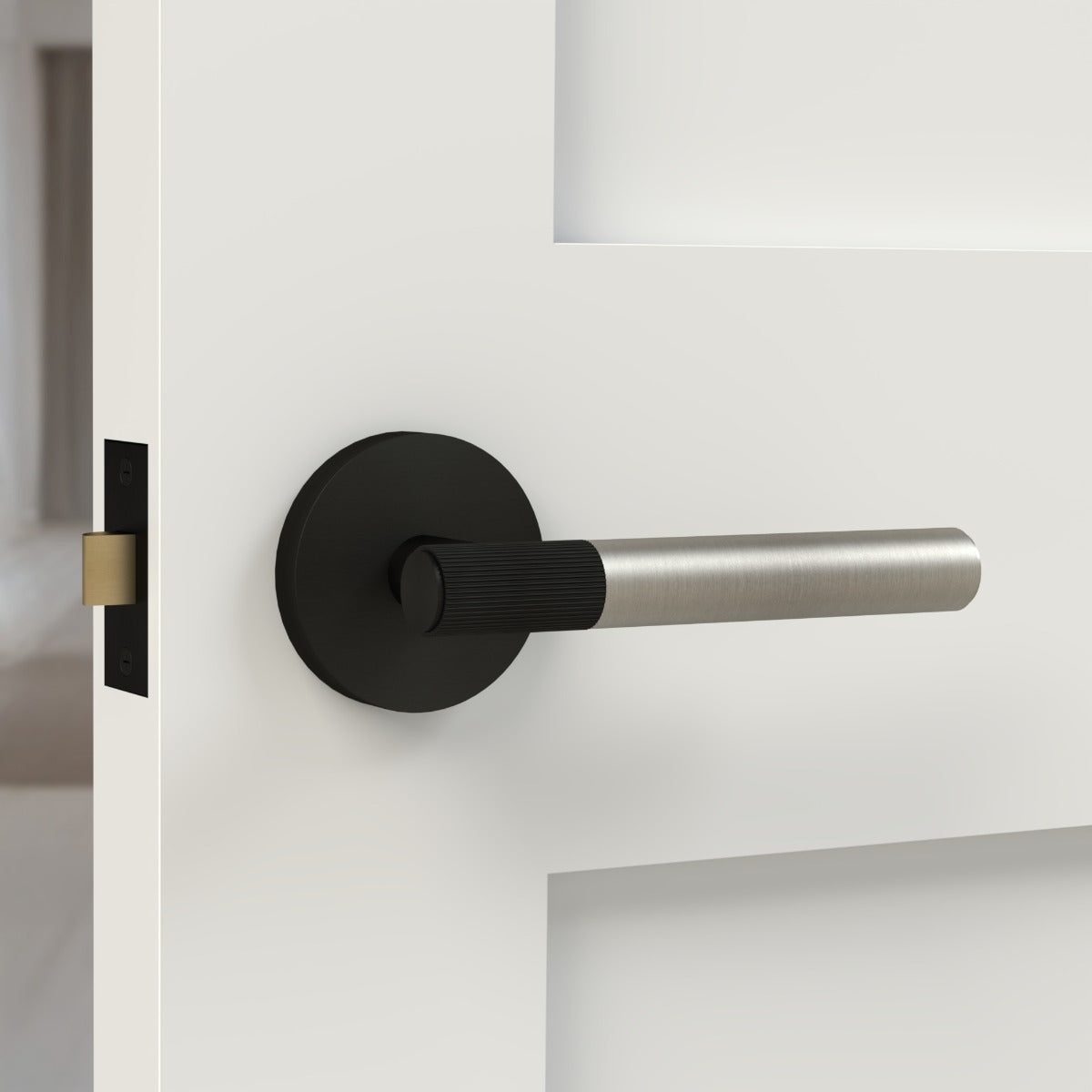 Brass Linear Lever Handle in Silver and Black