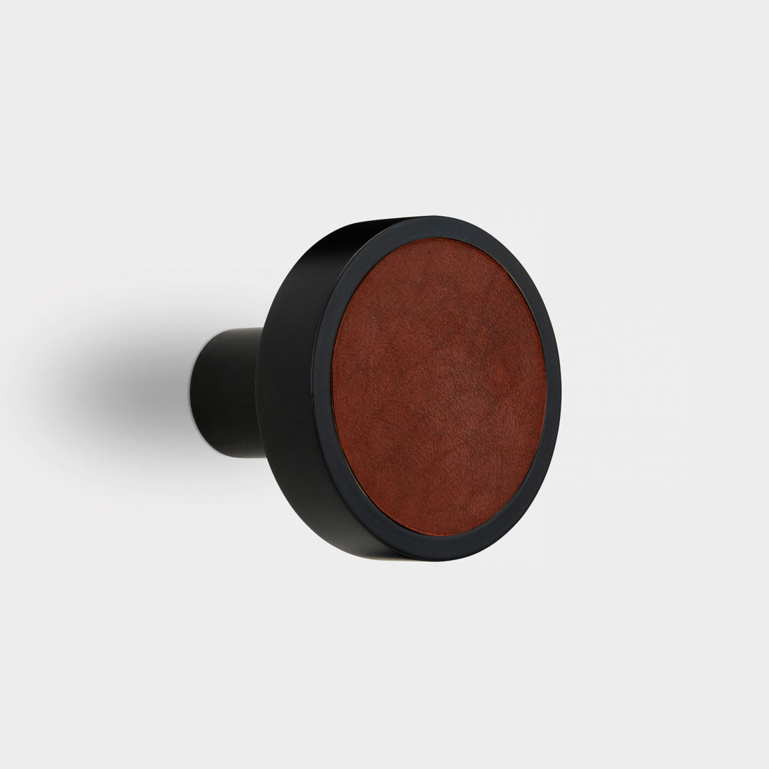 Brass & Brown Leather Coat Hook in Black