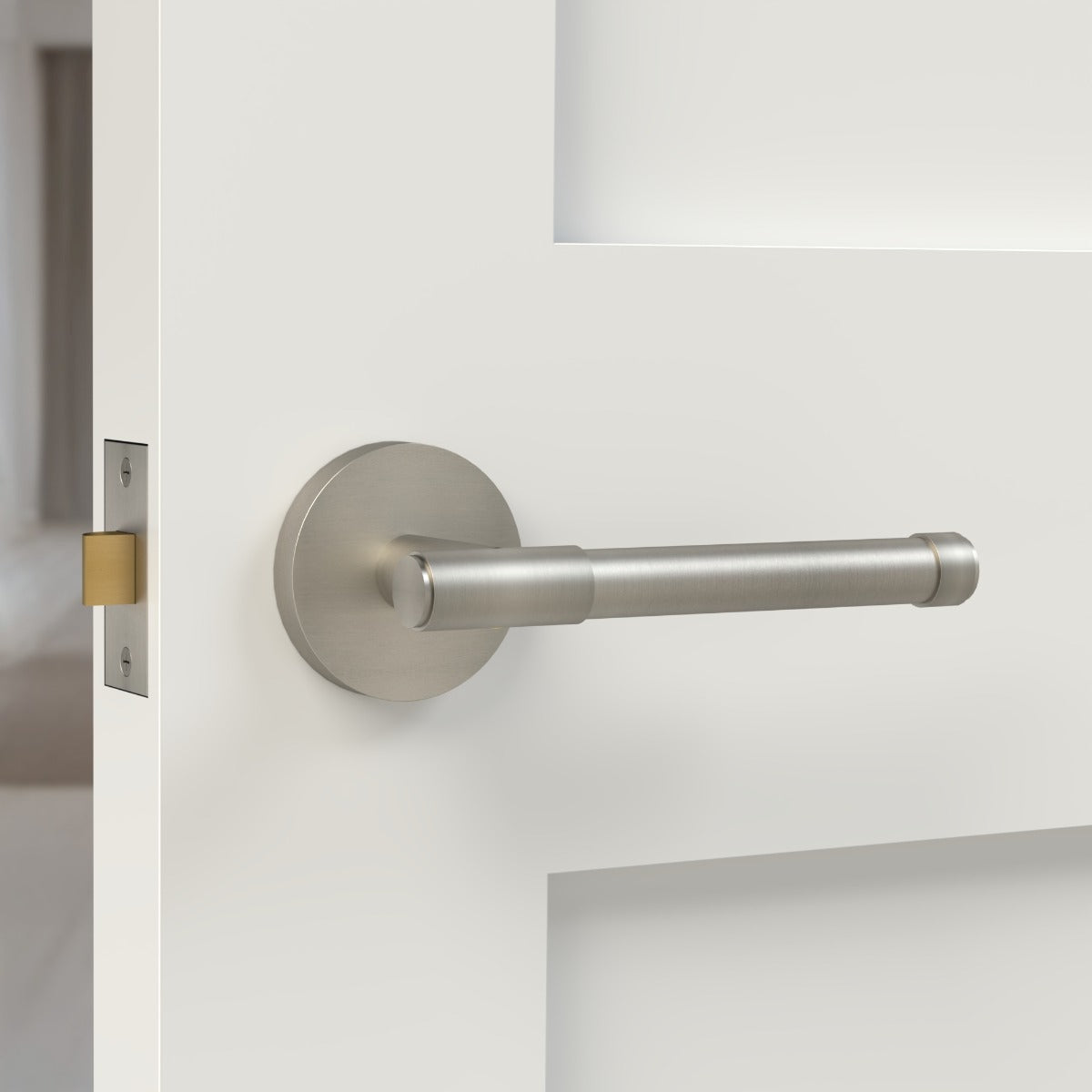 Brass Door Lever Handle in Silver